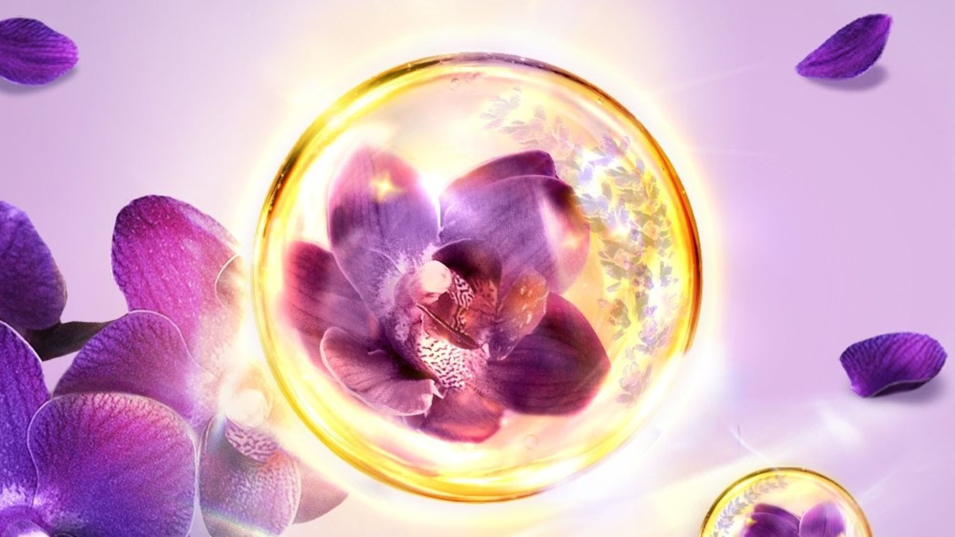 A picture of a purple orchid, representing LUX Magical Orchid, the best selling LUX shower gel in China.