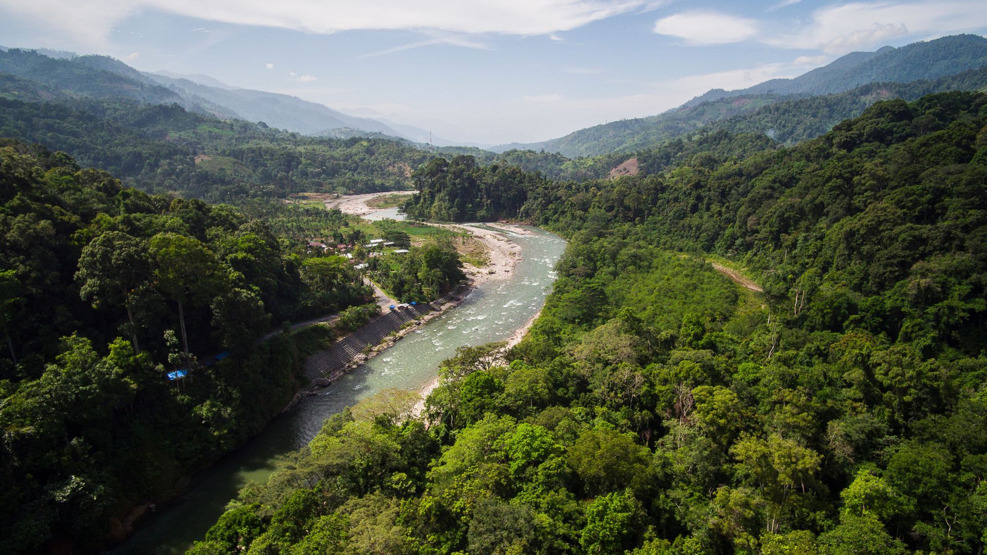 A river winds through trees and hills. 